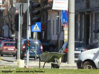 Imagine atasata: Iuliu Maniu - 2016.03.25 - 33.jpg